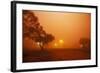 Dust Storm in the Australian Outback-Paul Souders-Framed Photographic Print