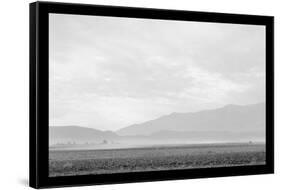 Dust Storm over the Manzanar Relocation Camp-Ansel Adams-Framed Stretched Canvas