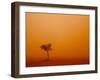 Dust Storm Turns Sky Orange with Blown Sand and Windswept Tree, Ivanhoe, New South Wales, Australia-Paul Souders-Framed Photographic Print