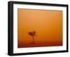 Dust Storm Turns Sky Orange with Blown Sand and Windswept Tree, Ivanhoe, New South Wales, Australia-Paul Souders-Framed Photographic Print