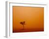 Dust Storm Turns Sky Orange with Blown Sand and Windswept Tree, Ivanhoe, New South Wales, Australia-Paul Souders-Framed Photographic Print