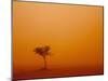 Dust Storm Turns Sky Orange with Blown Sand and Windswept Tree, Ivanhoe, New South Wales, Australia-Paul Souders-Mounted Photographic Print