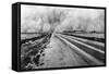 Dust Storm-null-Framed Stretched Canvas