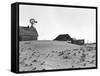 Dustbowl Farm-Dorothea Lange-Framed Stretched Canvas