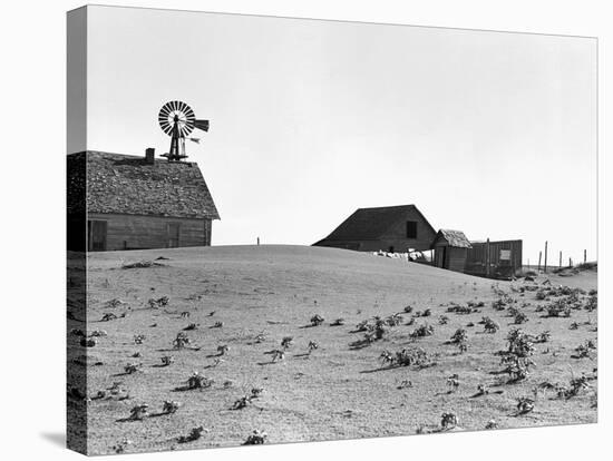 Dustbowl Farm-Dorothea Lange-Stretched Canvas