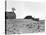 Dustbowl Farm-Dorothea Lange-Stretched Canvas