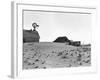 Dustbowl Farm-Dorothea Lange-Framed Photographic Print