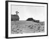 Dustbowl Farm-Dorothea Lange-Framed Photographic Print