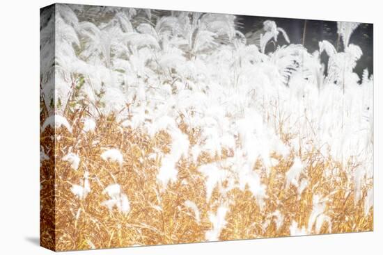 Dusted Fields-Chris Dunker-Stretched Canvas