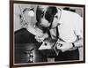 Dusting a Box for Fingerprints at New Scotland Yard. Metropolitan Police-null-Framed Photographic Print
