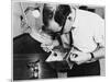 Dusting a Box for Fingerprints at New Scotland Yard. Metropolitan Police-null-Mounted Photographic Print