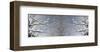 Dusting of Snow-Erin Clark-Framed Giclee Print