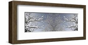 Dusting of Snow-Erin Clark-Framed Giclee Print