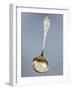 Dusting Spoon with Embossed Liberty-Style Decoration, Minerva Hallmark, Vermeil, France-null-Framed Giclee Print