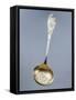 Dusting Spoon with Embossed Liberty-Style Decoration, Minerva Hallmark, Vermeil, France-null-Framed Stretched Canvas