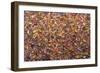 Duststorm-James W. Johnson-Framed Giclee Print