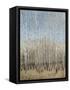 Dusty Blue Birches I-Tim OToole-Framed Stretched Canvas