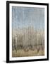 Dusty Blue Birches I-Tim OToole-Framed Art Print