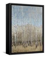 Dusty Blue Birches I-Tim OToole-Framed Stretched Canvas