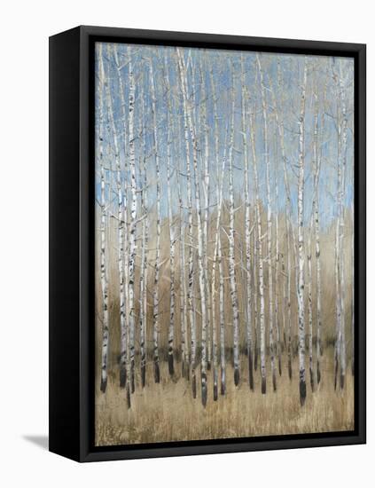 Dusty Blue Birches I-Tim OToole-Framed Stretched Canvas