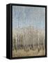 Dusty Blue Birches I-Tim OToole-Framed Stretched Canvas