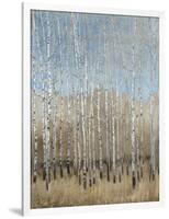 Dusty Blue Birches I-Tim OToole-Framed Art Print