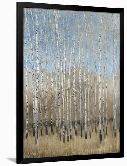 Dusty Blue Birches I-Tim OToole-Framed Art Print