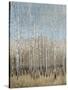 Dusty Blue Birches I-Tim OToole-Stretched Canvas