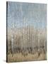 Dusty Blue Birches I-Tim OToole-Stretched Canvas