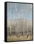 Dusty Blue Birches I-Tim OToole-Framed Stretched Canvas