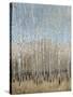 Dusty Blue Birches I-Tim OToole-Stretched Canvas