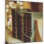 Dusty Books-Tim Kahane-Mounted Premium Photographic Print