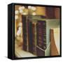 Dusty Books-Tim Kahane-Framed Stretched Canvas