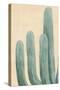 Dusty Cacti I-null-Stretched Canvas