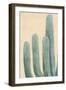 Dusty Cacti I-null-Framed Art Print