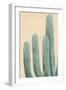 Dusty Cacti I-null-Framed Art Print