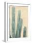 Dusty Cacti II-null-Framed Art Print