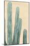 Dusty Cacti II-null-Mounted Art Print