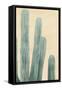 Dusty Cacti II-null-Framed Stretched Canvas