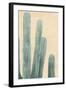 Dusty Cacti II-null-Framed Art Print