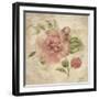 Dusty Pink Rose on Antique Linen Light-Cheri Blum-Framed Art Print