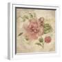 Dusty Pink Rose on Antique Linen Light-Cheri Blum-Framed Art Print