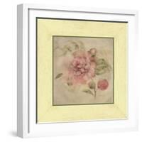 Dusty Pink Rose-Cheri Blum-Framed Art Print