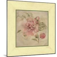 Dusty Pink Rose-Cheri Blum-Mounted Art Print