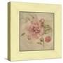 Dusty Pink Rose-Cheri Blum-Stretched Canvas