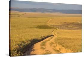 Dusty Road Leading Through the Nyika National Park, Malawi, Africa-Michael Runkel-Stretched Canvas