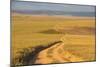 Dusty Road Leading Through the Nyika National Park, Malawi, Africa-Michael Runkel-Mounted Photographic Print