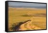 Dusty Road Leading Through the Nyika National Park, Malawi, Africa-Michael Runkel-Framed Stretched Canvas