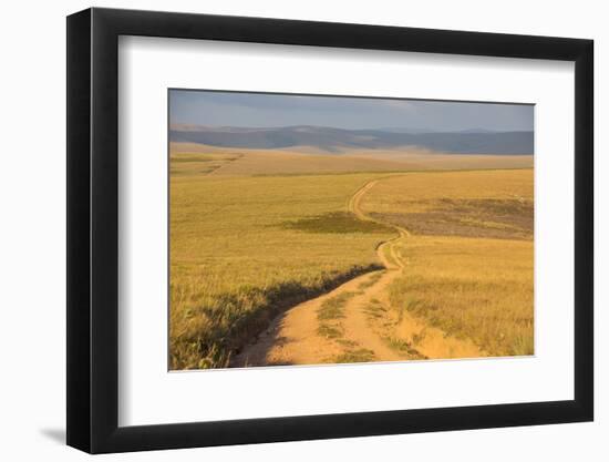 Dusty Road Leading Through the Nyika National Park, Malawi, Africa-Michael Runkel-Framed Photographic Print