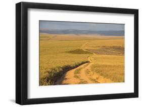 Dusty Road Leading Through the Nyika National Park, Malawi, Africa-Michael Runkel-Framed Photographic Print